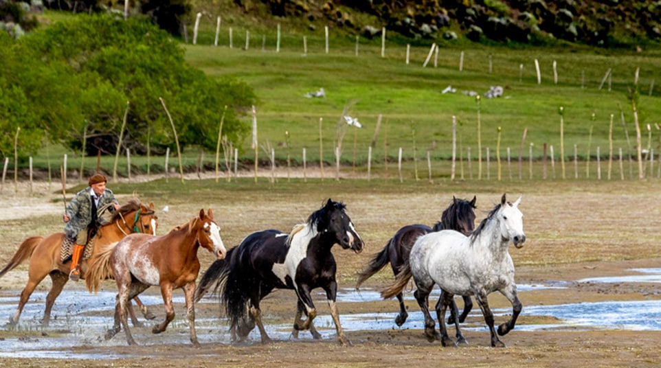 Horseback Riding at The Shores of Lake Argentino Horseback Riding at The Shores of Lake Argentino