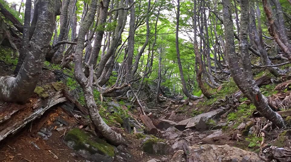 Mirador Ferrier Hike Mirador Ferrier Hike