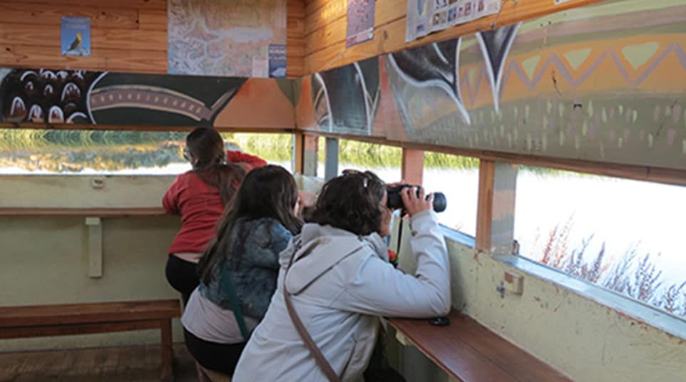 Soft Hike Around Laguna Nimez Soft Hike Around Laguna Nimez