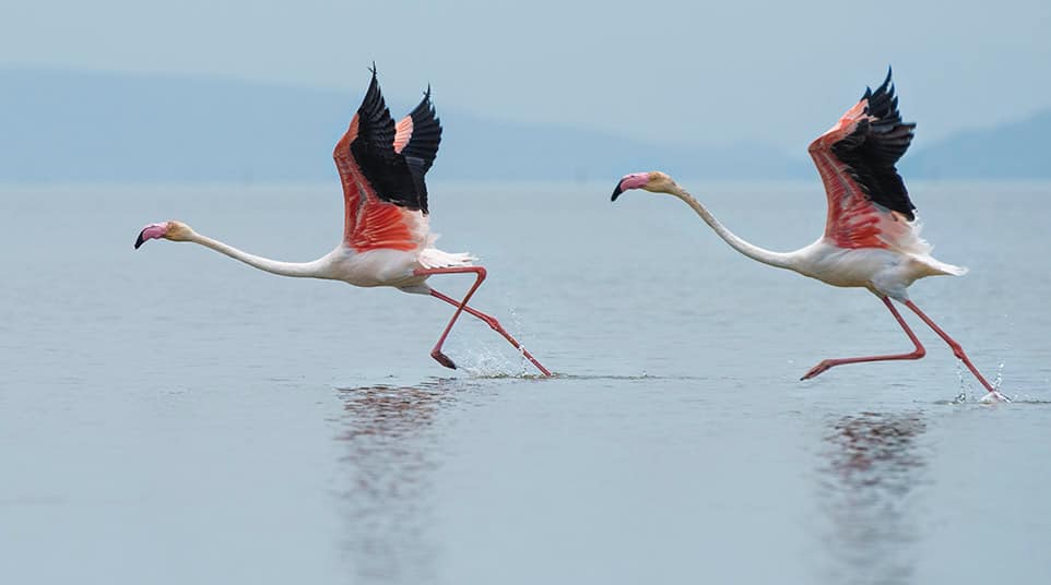 Soft Hike Around Laguna Nimez Soft Hike Around Laguna Nimez