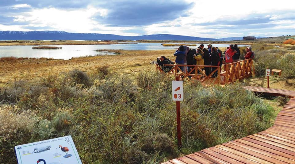 Soft Hike Around Laguna Nimez Soft Hike Around Laguna Nimez