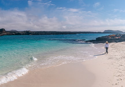 Galapagos Islands Cruise Reviews