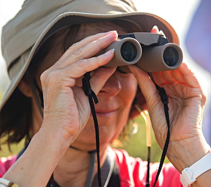 bird watching in the galapagos islands