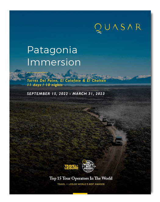 Patagonia Immersion Safari PDF itinerary