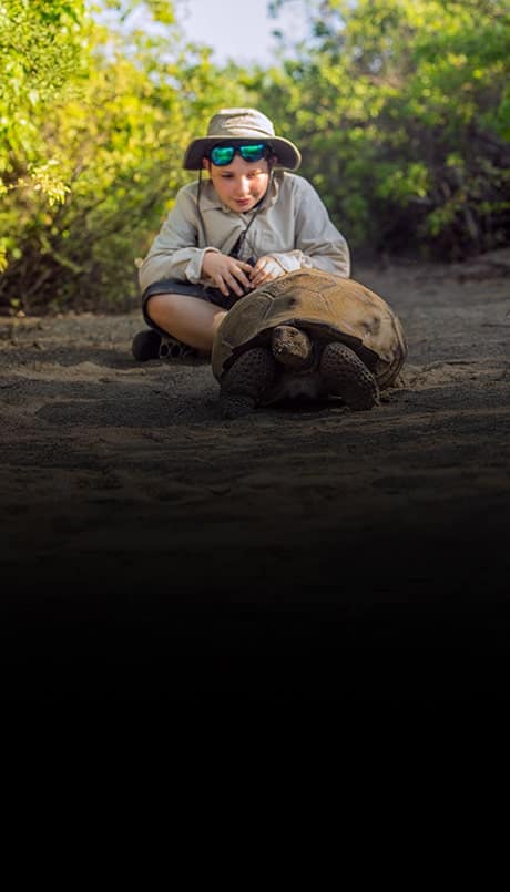 Young boy observing a baby giant tortoise in the Galapagos Islands