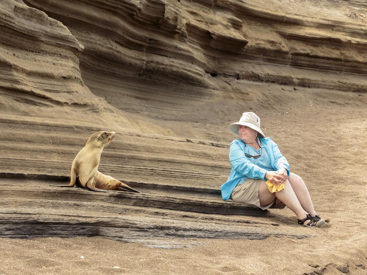 Wildlife Encounters in the Galapagos