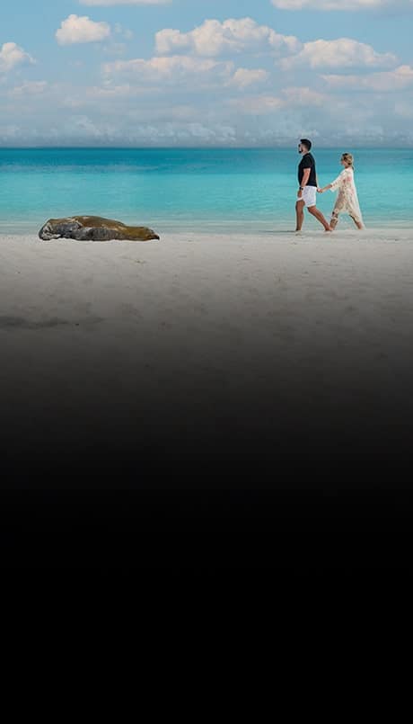 Honeymoon couple holding hands on white sand beach with sea lions in Galapagos