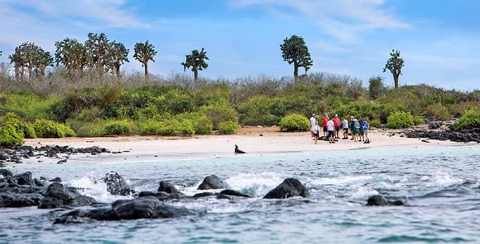 Small group enjoying white sand beach with sea lions in the Galapagos
