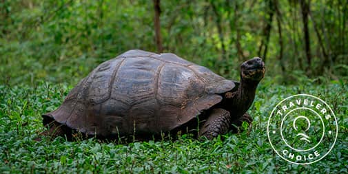 Galapagos in February