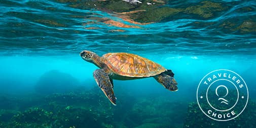 Galapagos in January