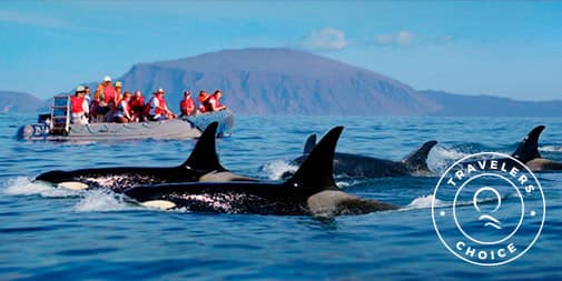 Galapagos in October