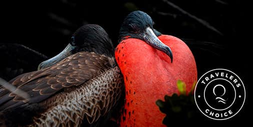 Galapagos in September