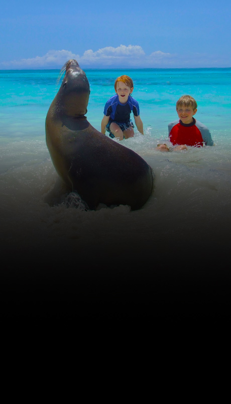 Special Needs Cruise Kids Amazed by Galapagos Sea Lion on Beach