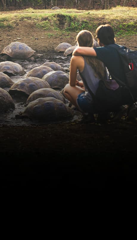 Adventurous Couples in Galapagos