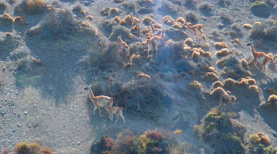 Darwin Experience - Kayaks And Adventure Darwin Experience - Kayaks And Adventure