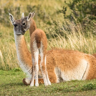 patagonia expedition trip