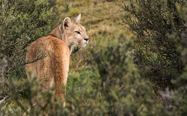 patagonia expedition trip