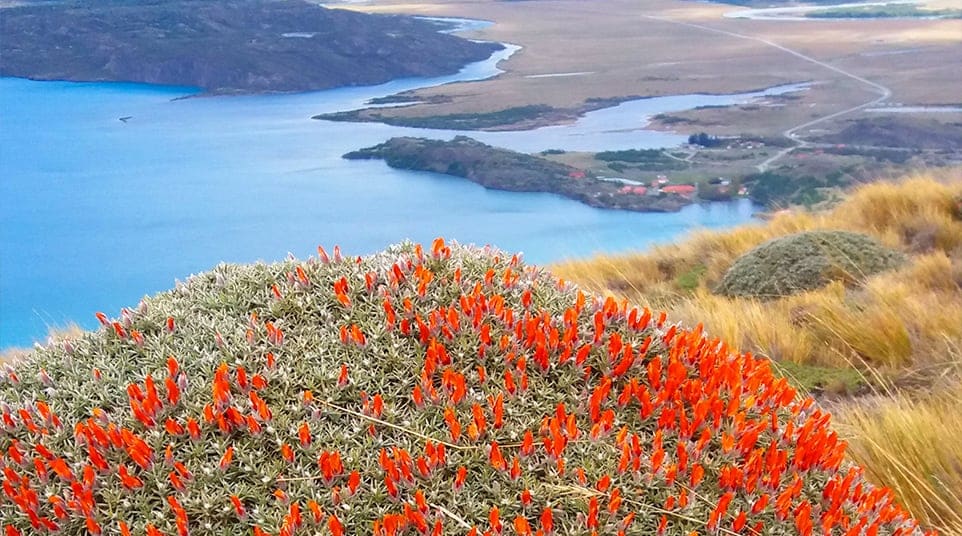 Toro Lake Hike Toro Lake Hike