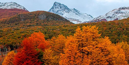 Patagonia in April