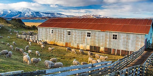 Patagonia in December