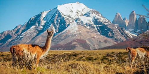 Patagonia in February