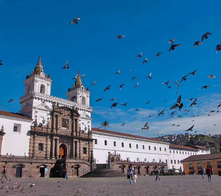 Birds flying over the San Francisco Church in Ecuador
