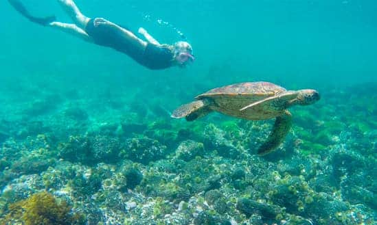 Galapagos Summer Cruise Offer