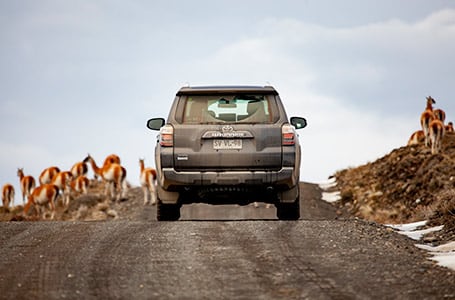 Patagonia Overland Safari