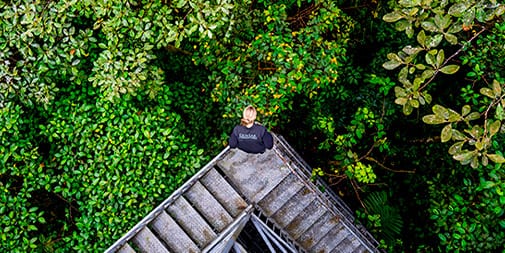 Quito & Mashpi Tour Quito & Mashpi Tour