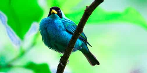 Quito & Papallacta Hot Springs Tour Quito & Papallacta Hot Springs Tour