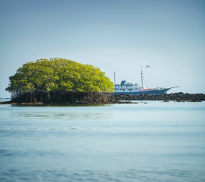Evolution Cruise in the Galapagos Islands