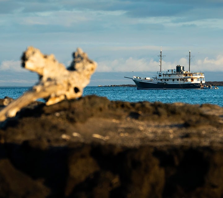 Galapagos Evolution Yacht