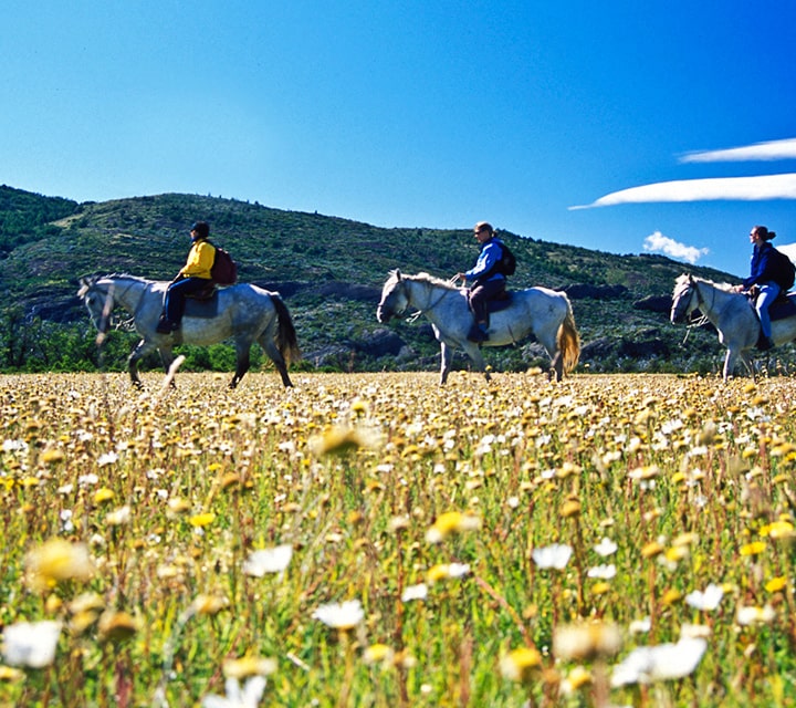 Horseback riding in Patagonia in February
