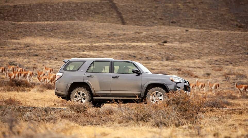 Torres del Paine National Park Reconnaissance Torres del Paine National Park Reconnaissance