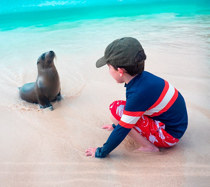 Child with a baby Galapagos Sea Lion