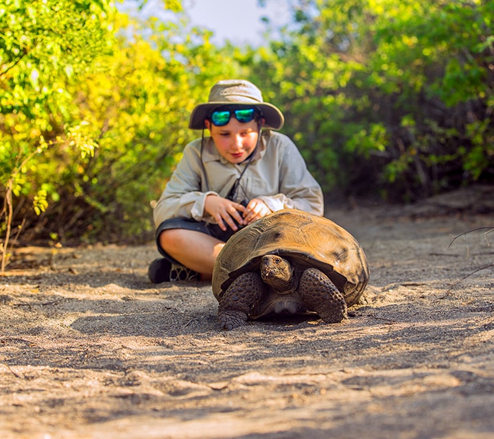 Kid with a Galapagos Giant Tortoise