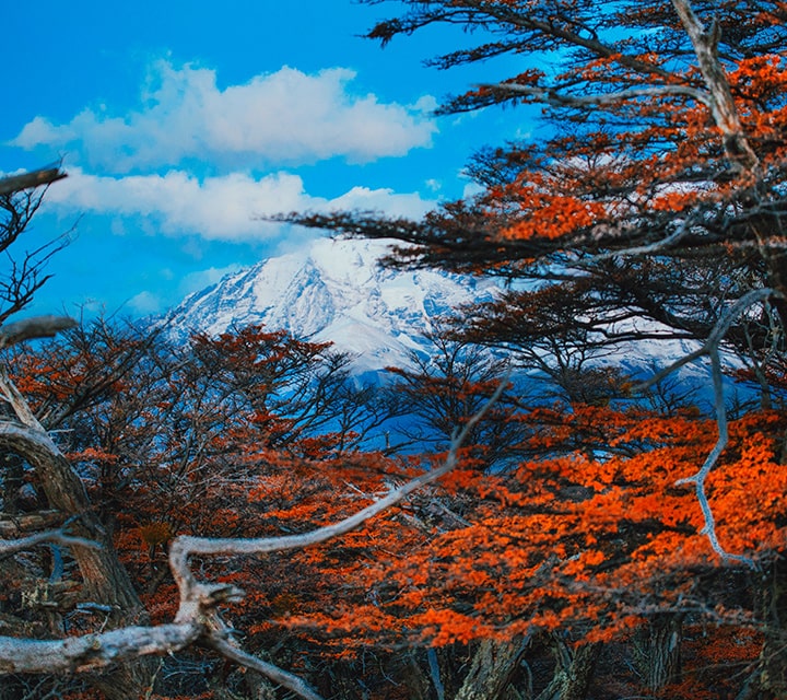 Patagonia in April at Torres del Paine