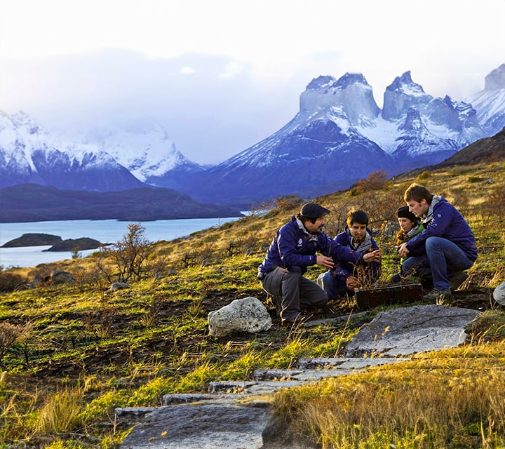 The Reforest Project in Patagonia