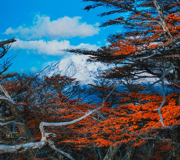 Autumn colors in Patagonia