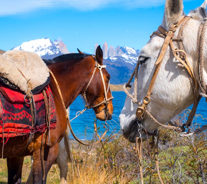 Horseback Riding in Patagonia in April