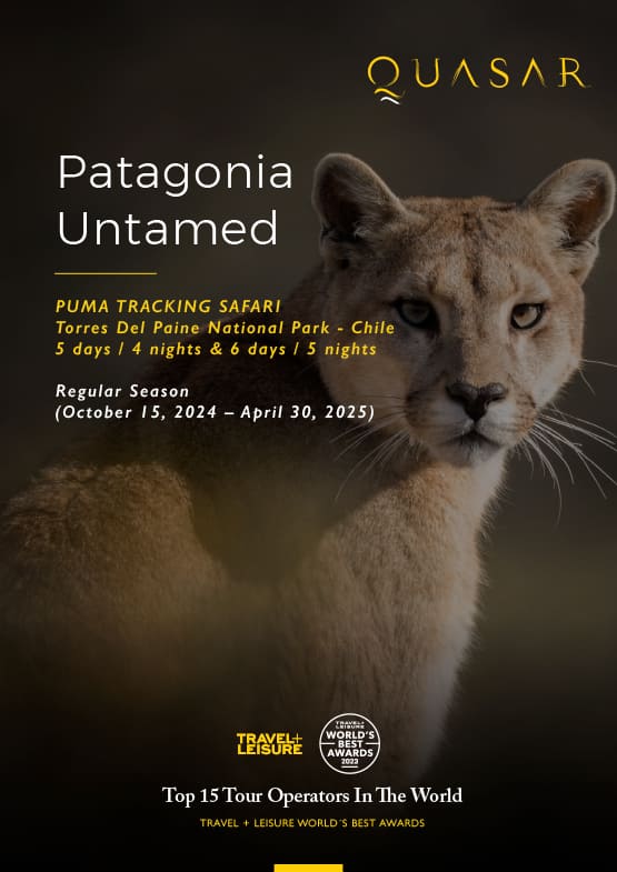 Patagonia Puma Tracking - Regular Season
