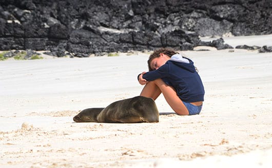 Galapagos wildlife