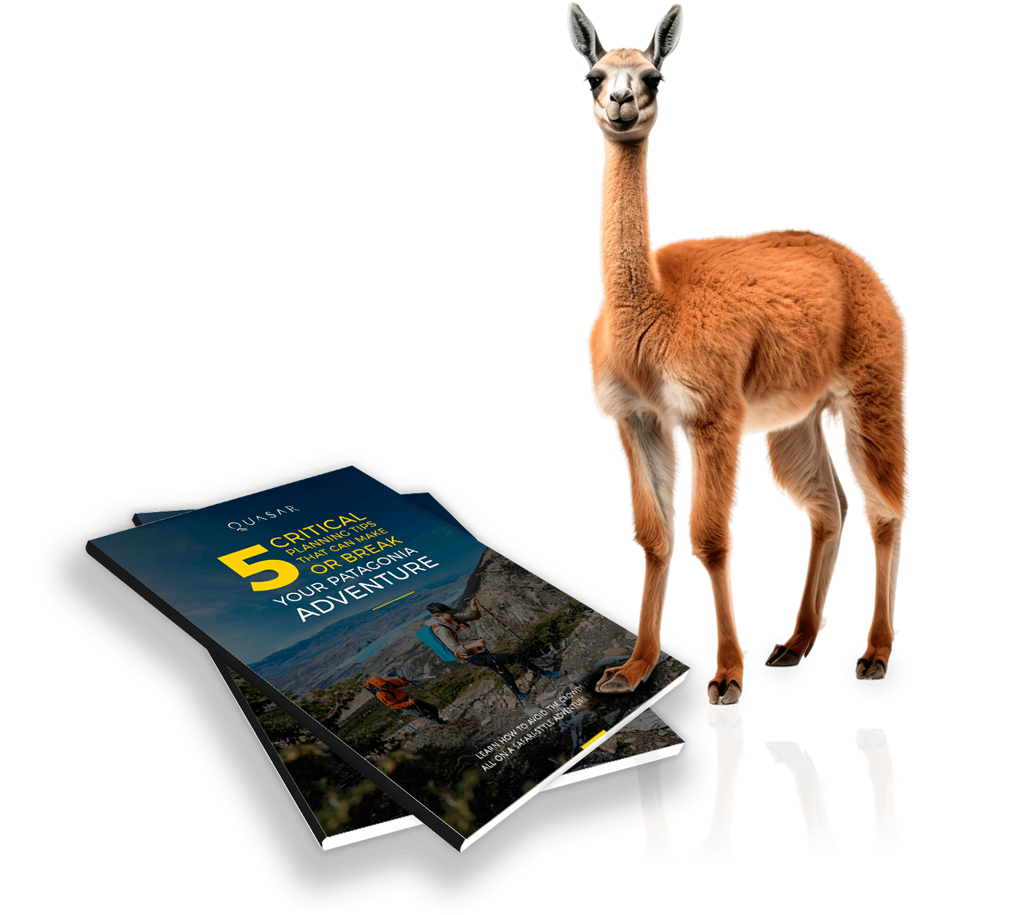 Cover of '5 Critical Planning Tips That Can Make Or Break Your Patagonia Adventure' PDF guide featuring a guanaco in Patagonia