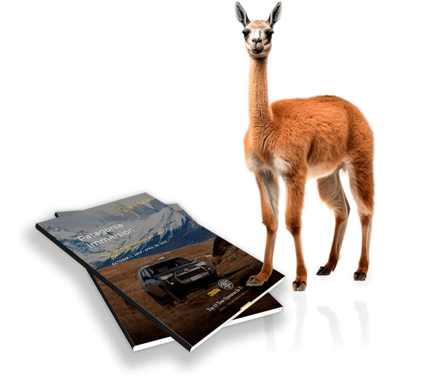 Patagonia Immersion Safari Itinerary - Guanaco on cover