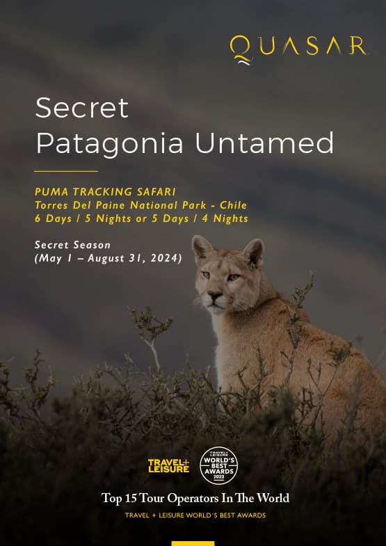 Patagonia Puma Tracking - Secret Season