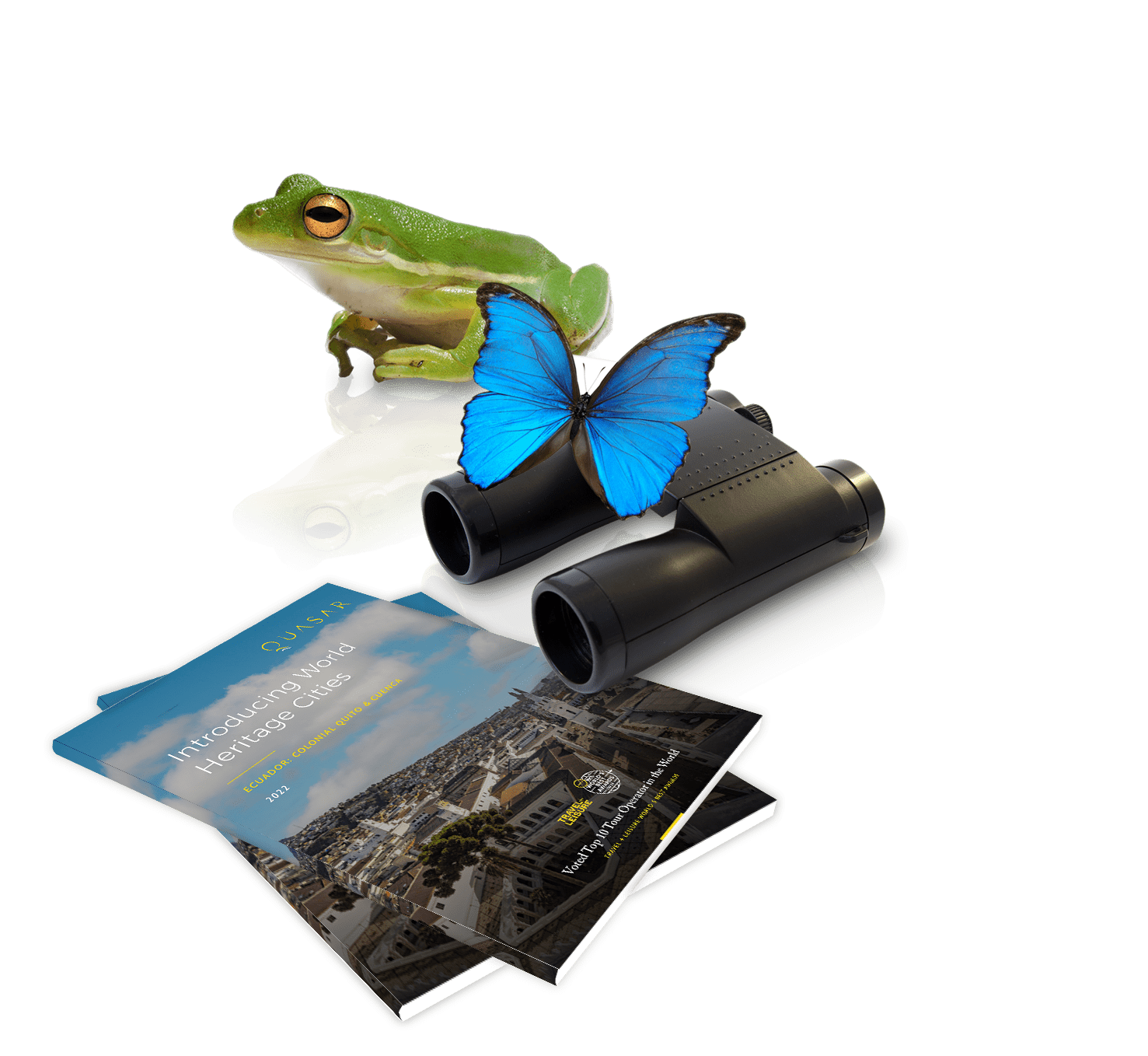 Ecuador itinerary with frog and butterfly