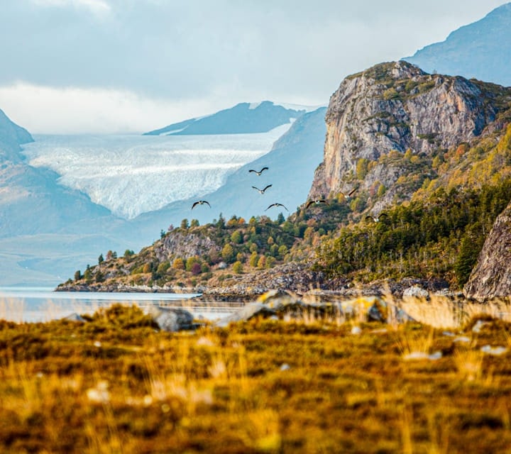Patagonia landscapes