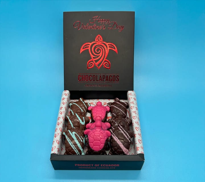 Chocolapagos Valentines Day box of chocolates