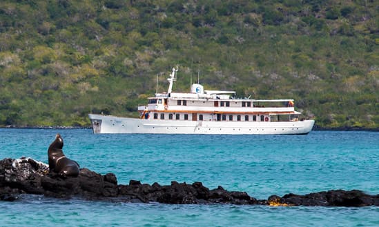 2025 Galapagos Special Offer for September Cruises