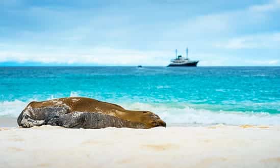 2025 Galapagos Special Offer for Winter Cruises